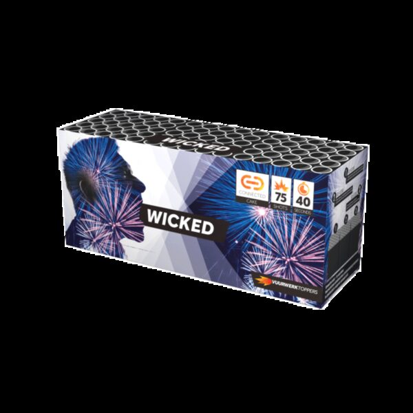 WTF Pro Edition Vuurwerk Wicked 75 shots