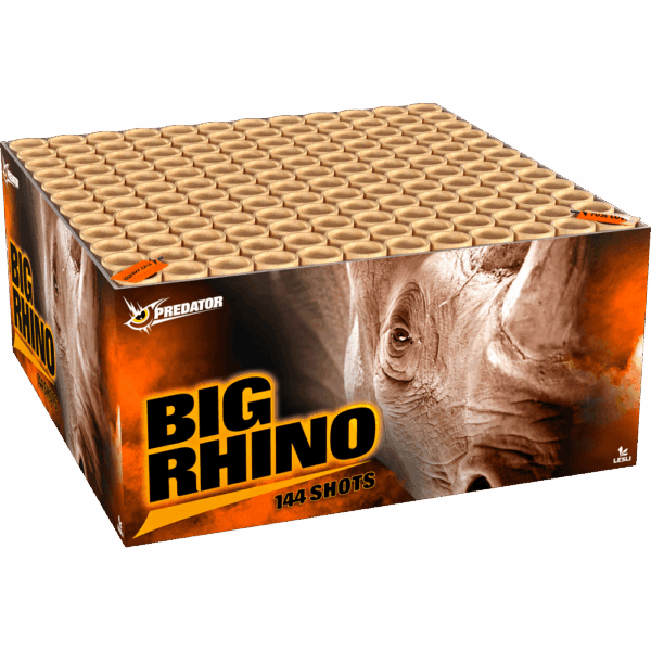 Big Rhino