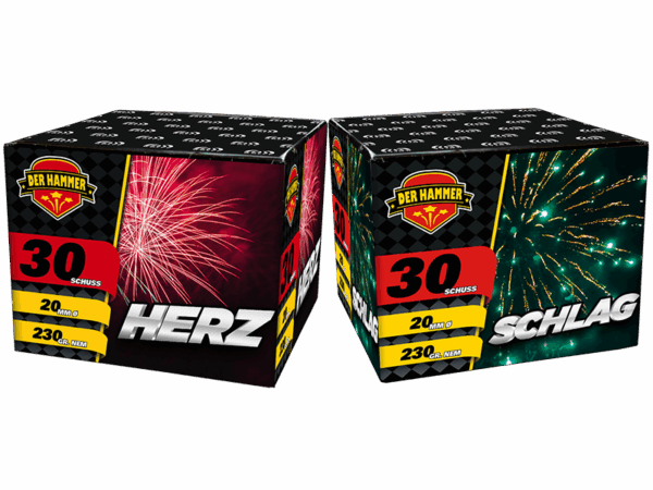 Herz Schlag