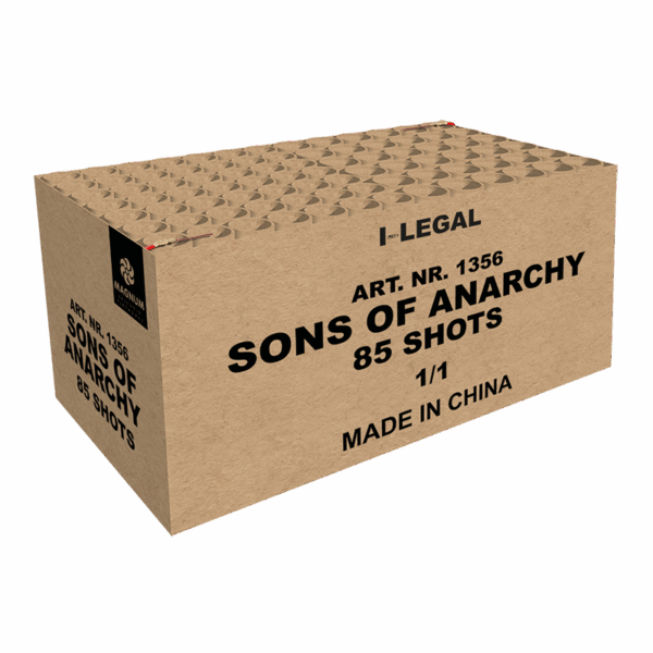 Sons of Anarchy 84 shots